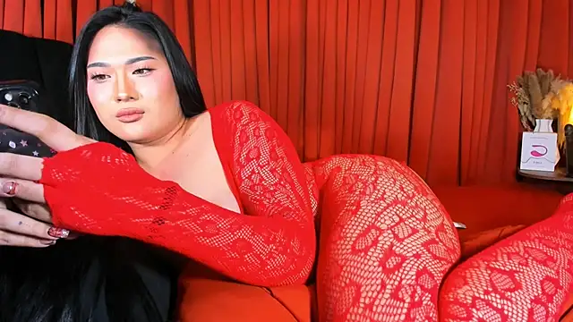 PereyLierge 라이브 XXX 채팅