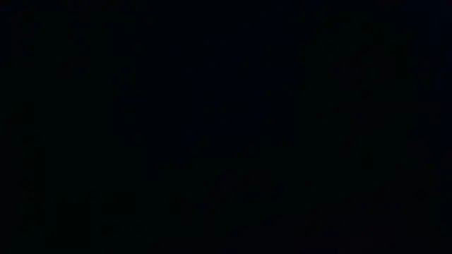 Gauchifleuza 网络视讯表演