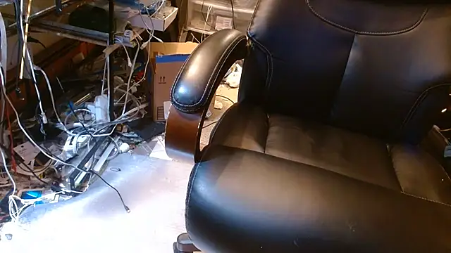 ctguybj 웹캠 쇼