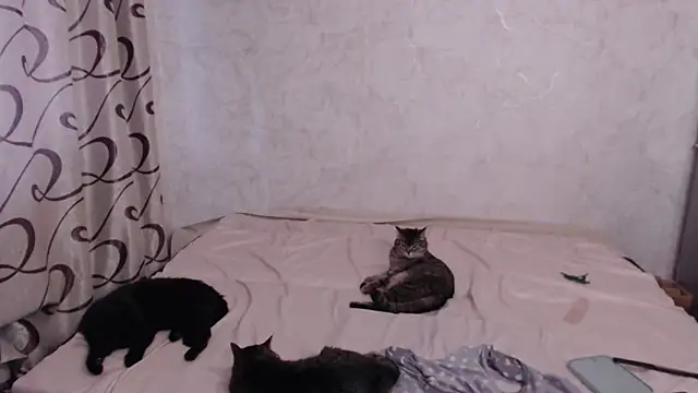 Olivia_Winston Chat XXX live