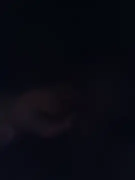 NicolePearl Chat XXX live