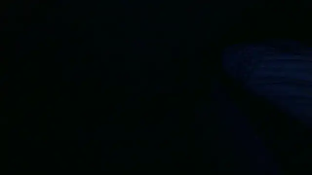 SpkeXtee's Live XXX Chat