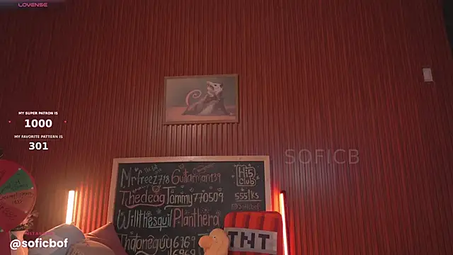 sofi_sc 现场XXX聊天
