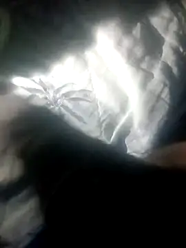 Show webcam de jose210934