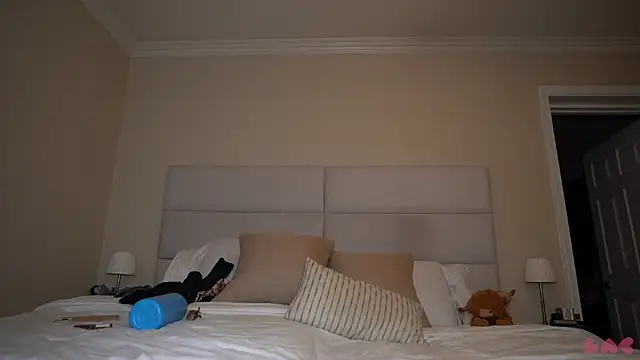 baedot's Webcam Show