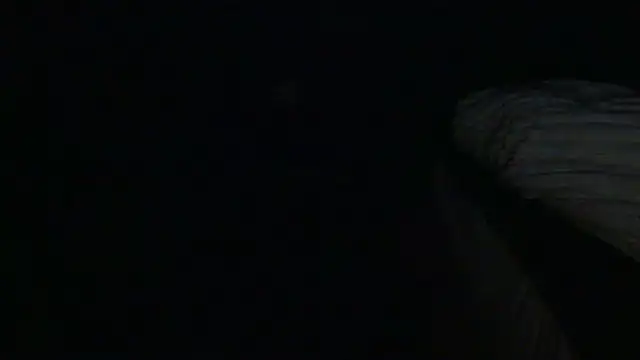 Chat XXX ao vivo de SpkeXtee