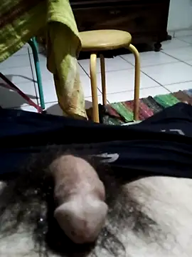 Živý XXX chat userbrasil12345
