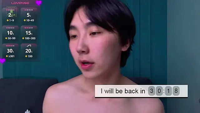 Show webcam de HeejinWang
