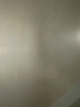 sterng6969's Live XXX Chat