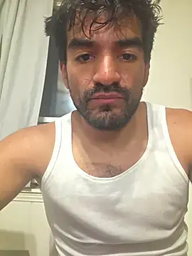 Show Webcam de piggylatino