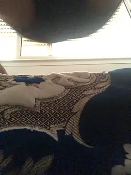 scsico20 Live XXX Chat