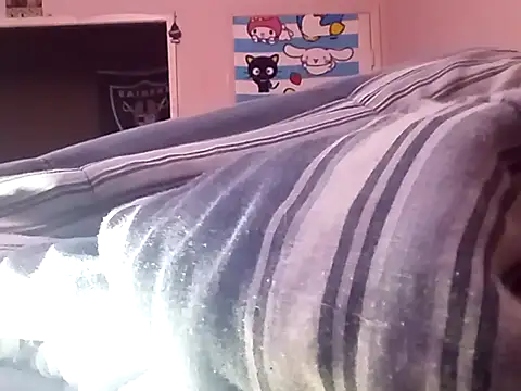 Blkstylion Live XXX-chat
