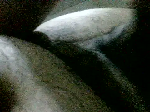LuispingonX69 – webcam-show
