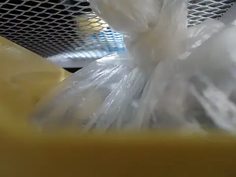 Lovensetest 网络视讯表演