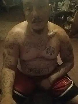 Dick4yourholes: διαδικτυακό σόου στην κάμερα