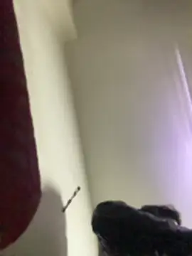 Živý XXX chat ImperialBalloon222
