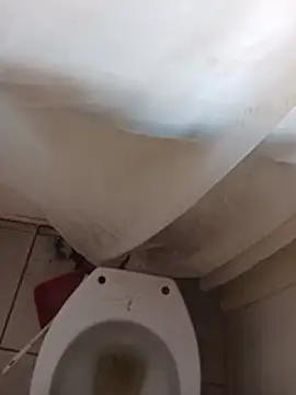 BunkedDruthers' Webcam Show