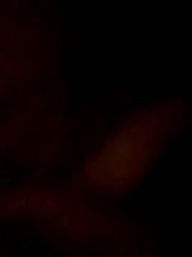 Show webcam de S7LEALTADPERVLIMA7