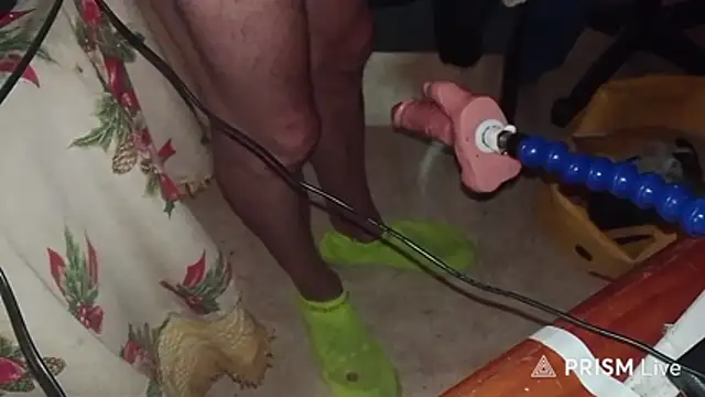 golfo1811 Show in webcam
