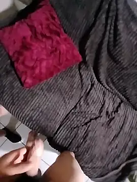 Shagui_y_bulma Webcam show