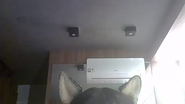 Show de SkinnyKitten na webcam