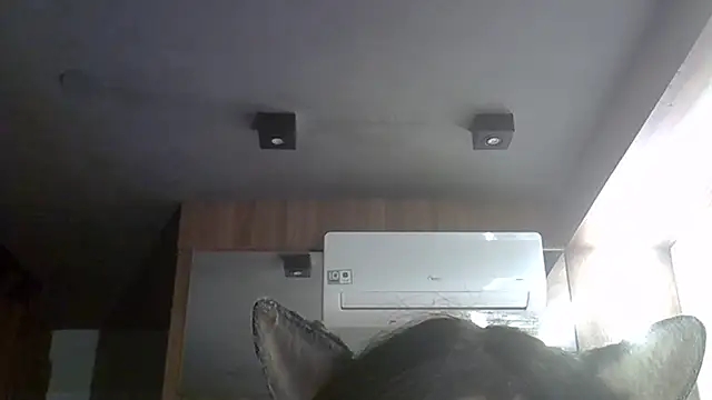 Chat XXX ao vivo de SkinnyKitten