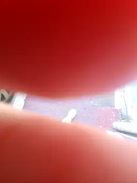 LIBERTINE_HOT_Gourmandise élő XXX-chatje