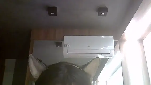 Show de webcam de SkinnyKitten