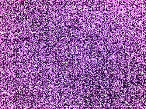 Show webcam de elturcudito