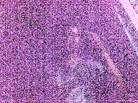 Show de elturcudito na webcam
