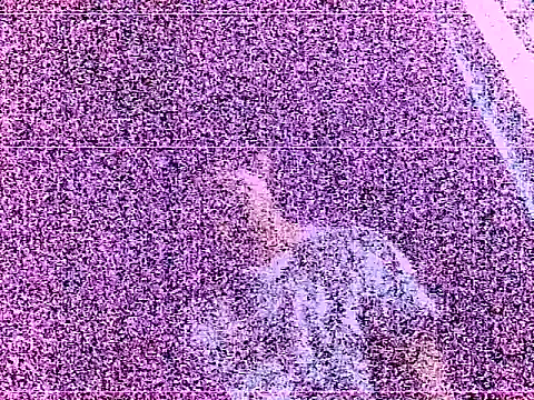 elturcudito Webcam Show