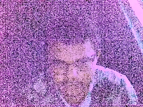 Webkamerová show elturcudito