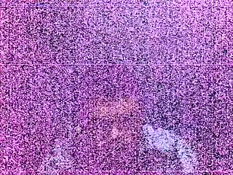 elturcudito's Webcam Show