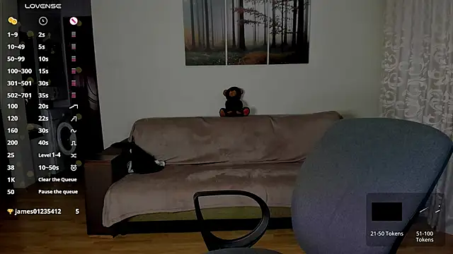 Show webcam de Gymdominus