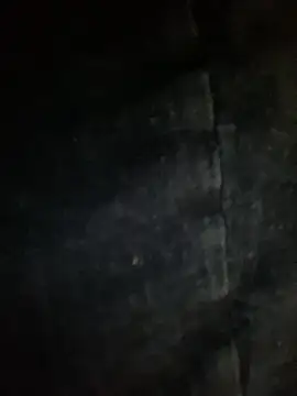 GusanoDelicioso Chat XXX in diretta