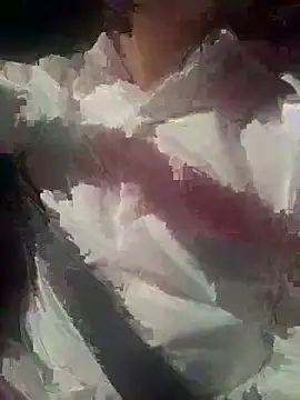 Show webcam de taro_taro45