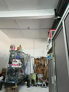 Webkamerová show Paul22cm-