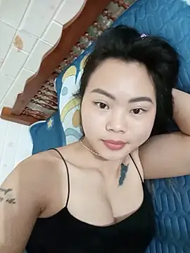 Lynk2x Show Webcam