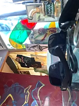 Toycockhot webkamerás műsora