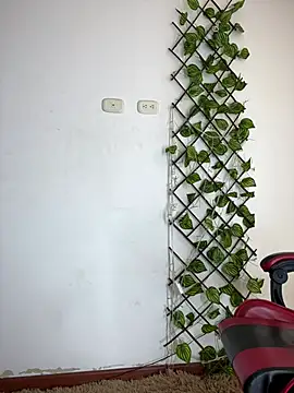 Chat XXX ao vivo de NelModel1