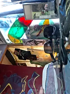 Toycockhotn Webbikameraesitys
