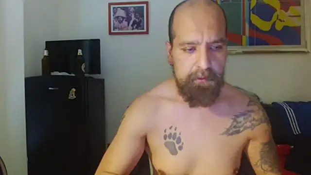 AMIRDIB2025 Show Webcam