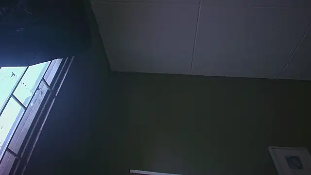 PaulEvensのライブXXXチャット