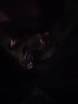 Živý XXX chat YOURBHABI143