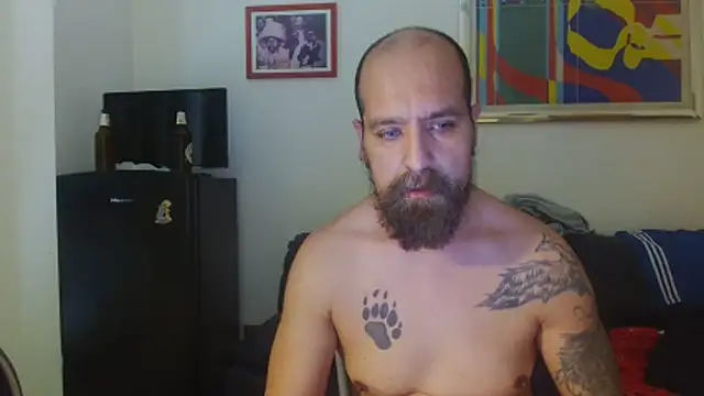 AMIRDIB2025 webcam show
