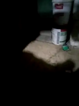 Stjekonka1 webkamerás műsora
