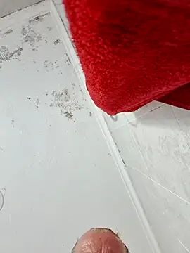 Fontinero Webcam show