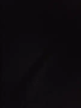 Show Webcam de ctguybj