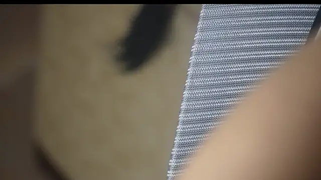 Živý XXX chat -AyeshaSinghania-