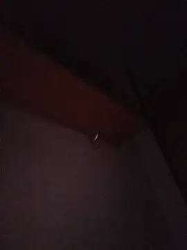 Živý XXX chat Hottiesophie